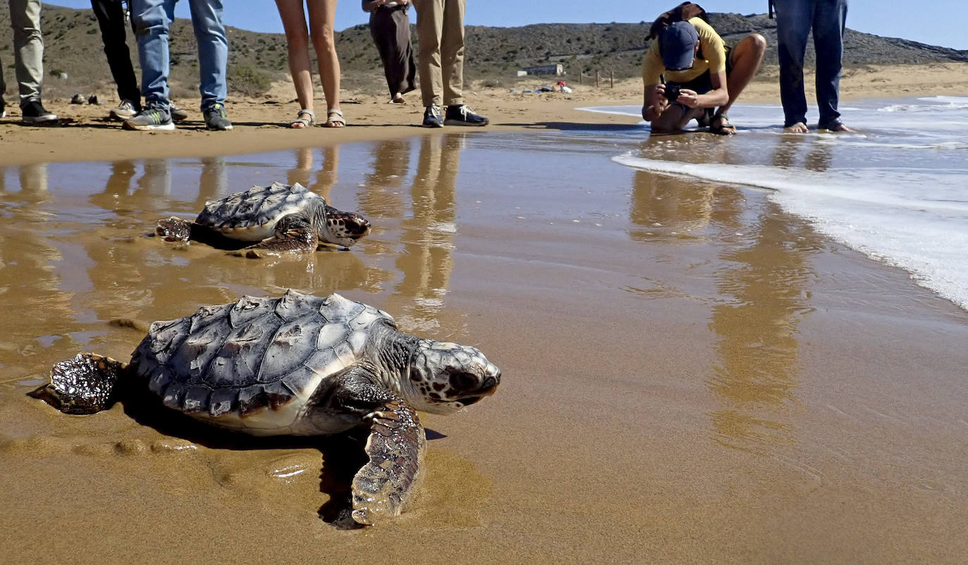 Fotos: El océano comienza en Calblanque