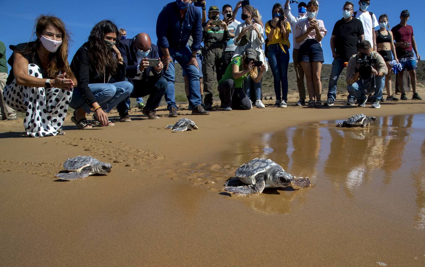 Fotos: El océano comienza en Calblanque