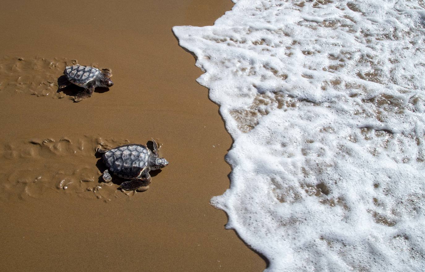 Fotos: El océano comienza en Calblanque