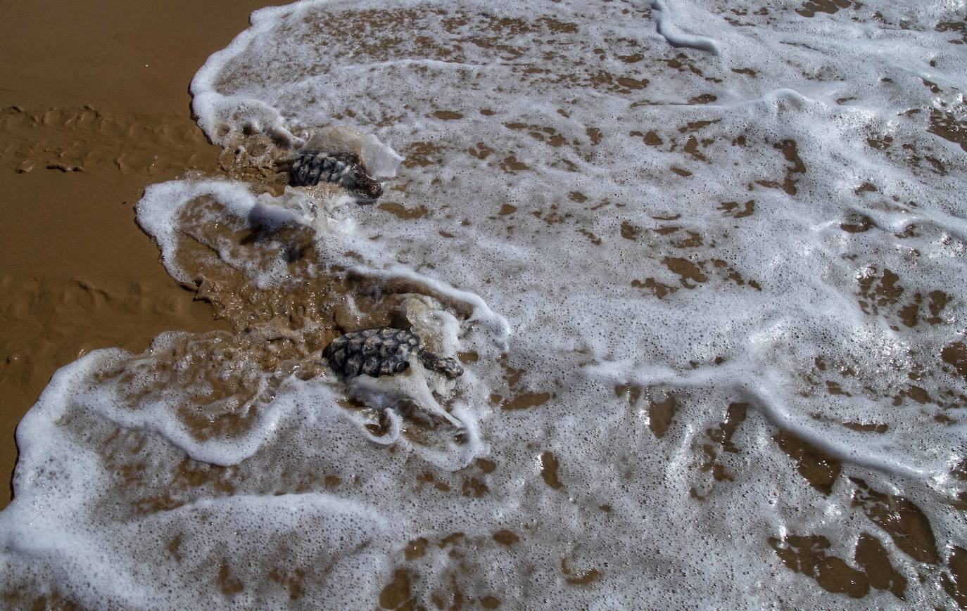 Fotos: El océano comienza en Calblanque