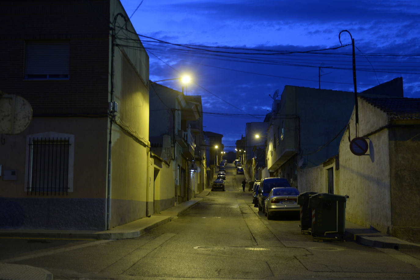 Fotos: A la caza del virus en Totana