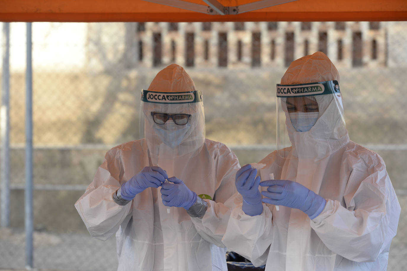 Fotos: A la caza del virus en Totana