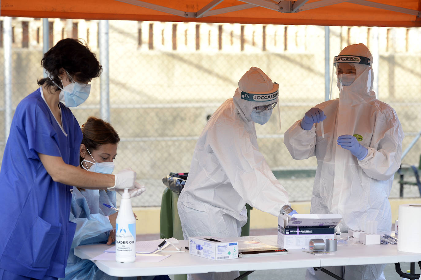 Fotos: A la caza del virus en Totana