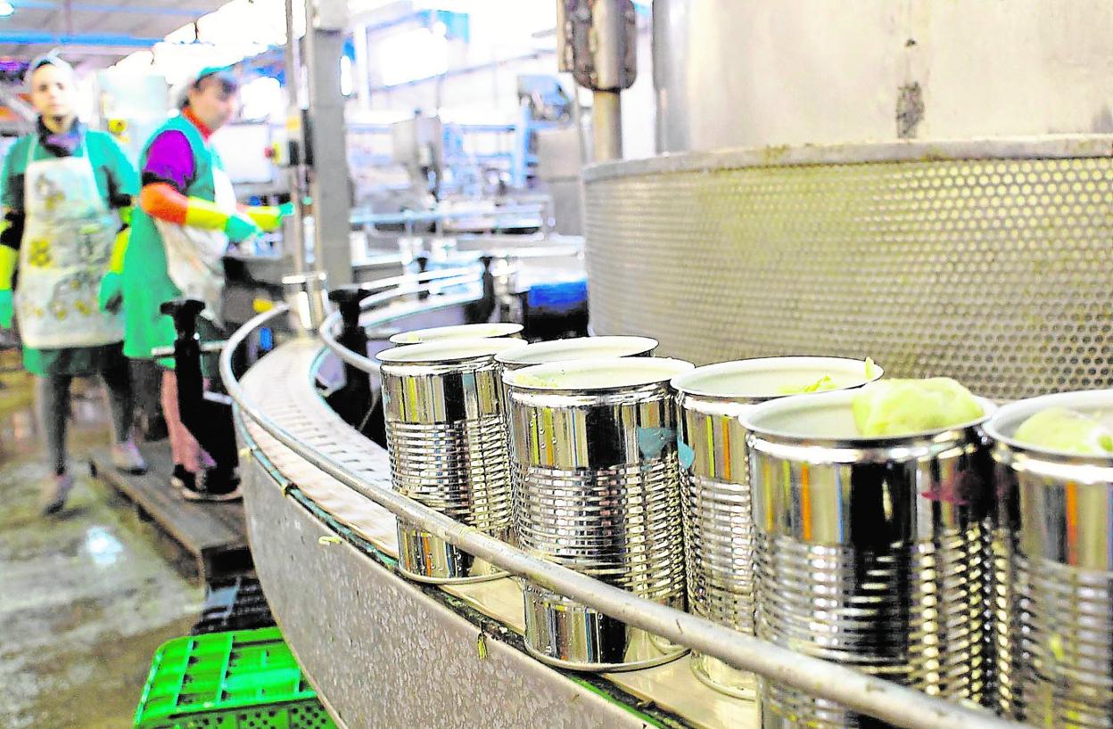 Actividad en una línea de envasado de conservas de alcachofas.