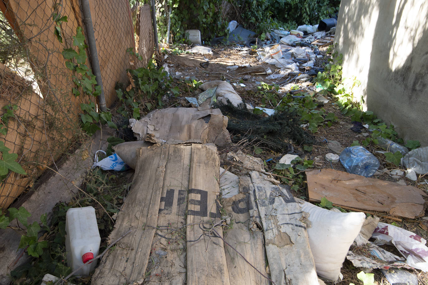 Fotos: Vecinos de Churra viven rodeados de solares con ratas
