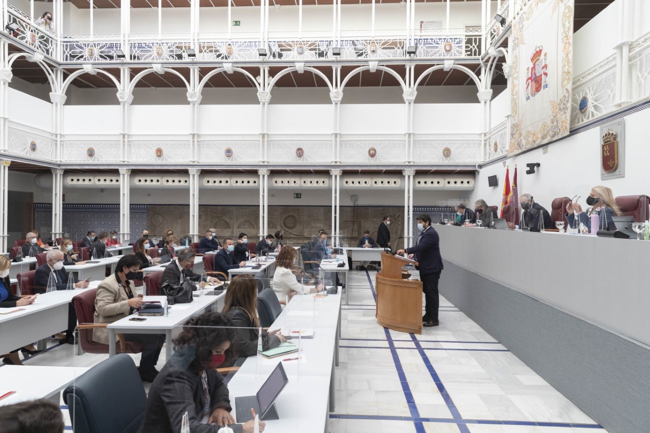 Fotos: Pleno de la Asamblea Regional del 30 de octubre de 2020