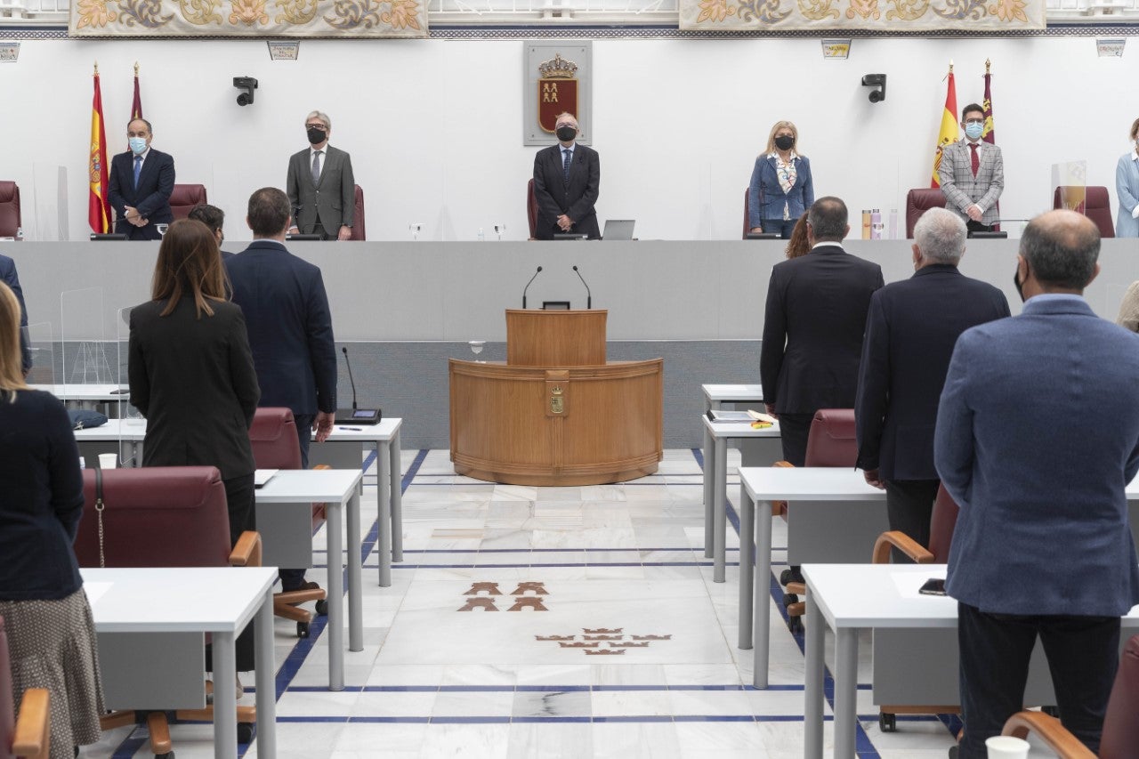 Fotos: Pleno de la Asamblea Regional del 30 de octubre de 2020