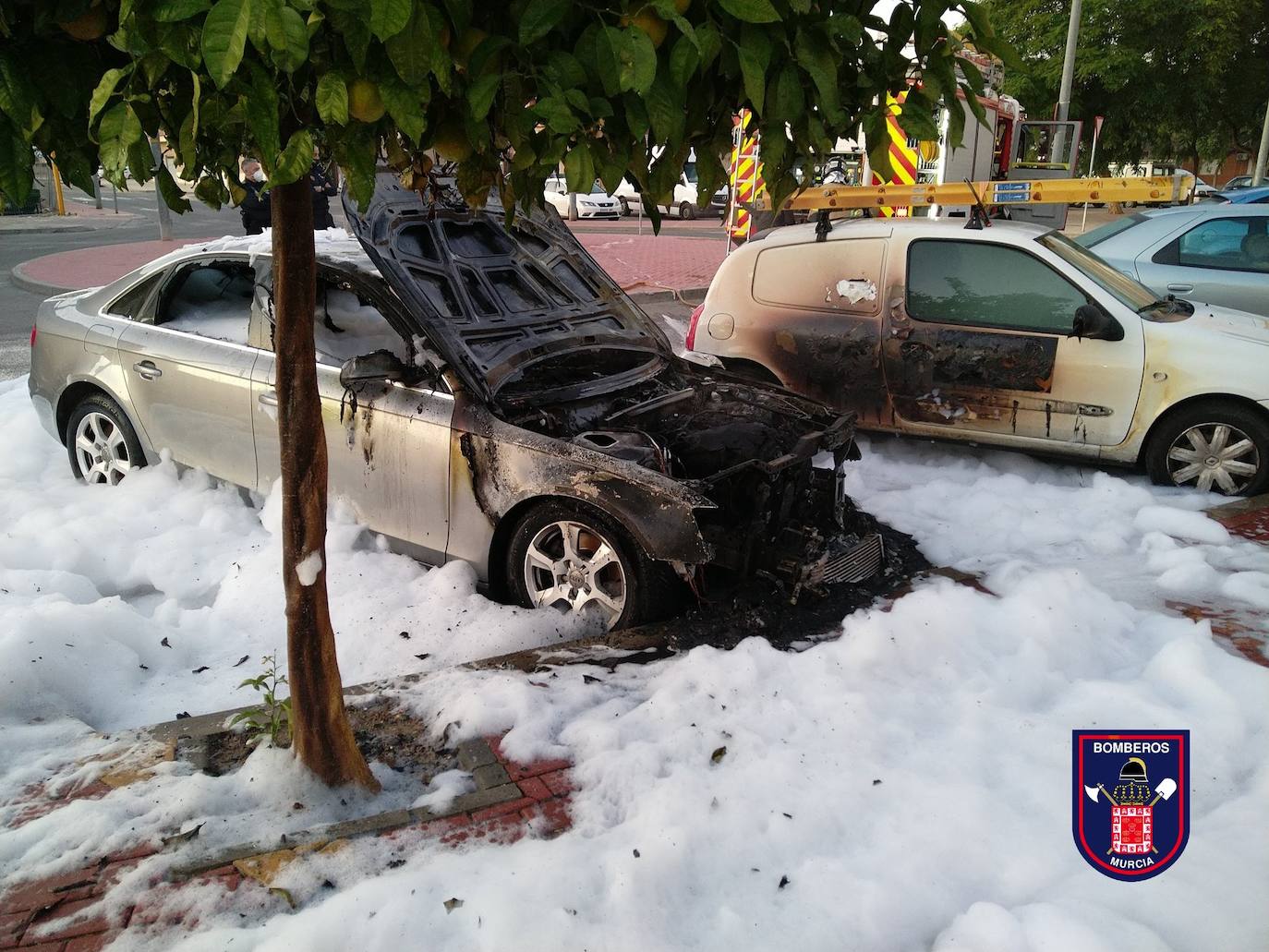 Fotos: Los bomberos apagan seis contenedores y dos coches quemados en Murcia