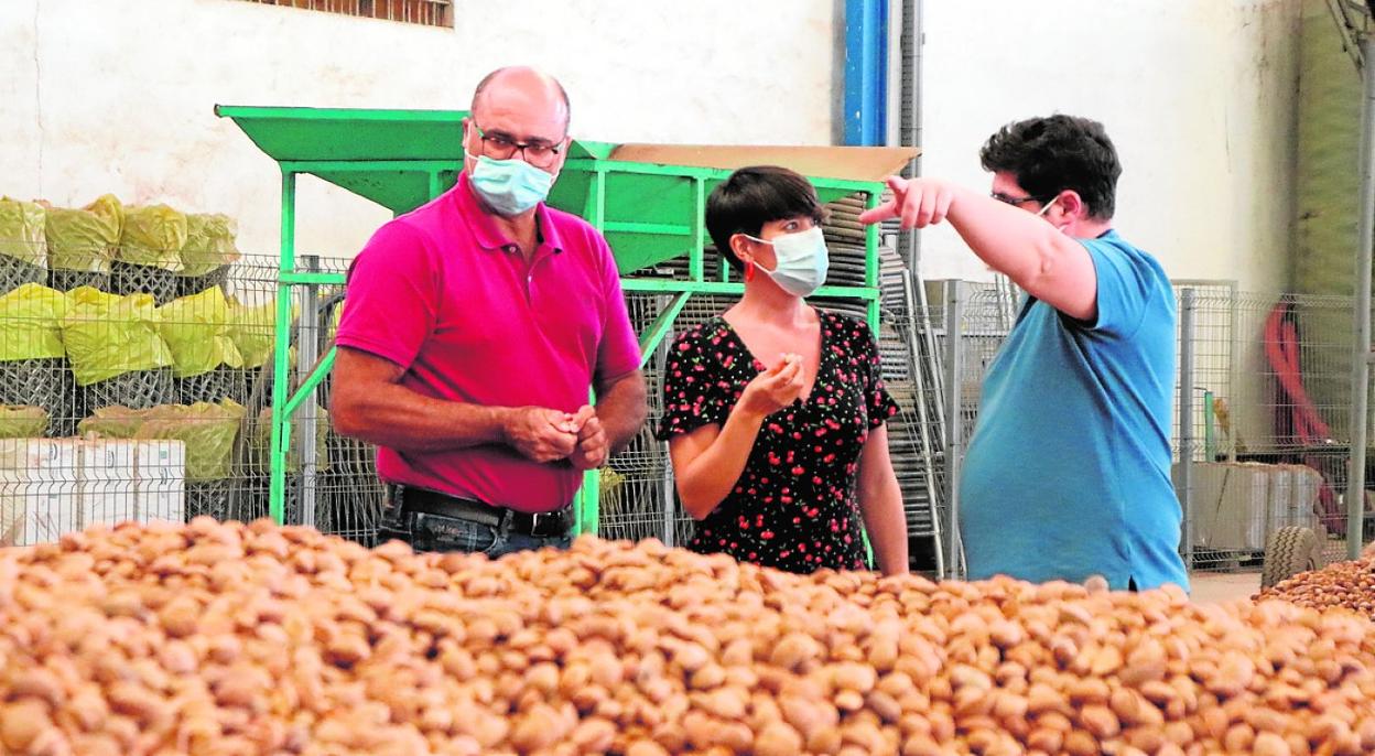 Pedro Noguera, a la izquierda, comprueba la producción del almendra en la cooperativa La Vega de Pliego. 