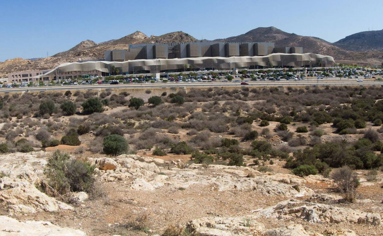 Terrenos enfrente del hospital Santa Lucía de Cartagena que han sido ofrecidos para albergar la Ciudad de la Justicia. 