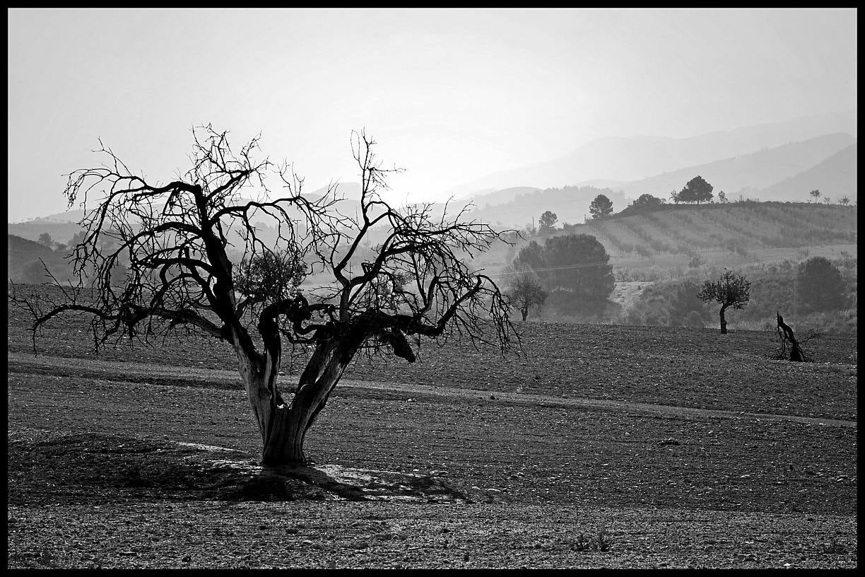 Ortillo, otra población rural de las tierras altas de Lorca, donde Espartaria desarrolla proyectos culturales.