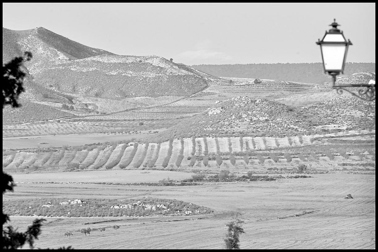 Campos cerca de Coy. El libro de Paco Alonso recoge imágenes de este territorio inmenso y recuerdos de 37 de sus habitantes. 