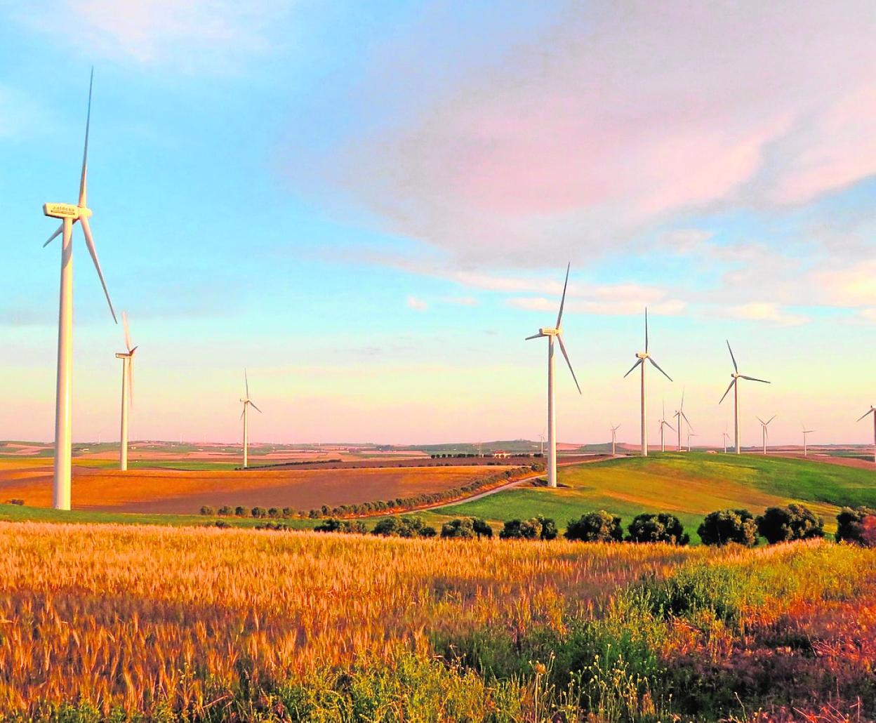 Varios aerogeneradores en el campo. 