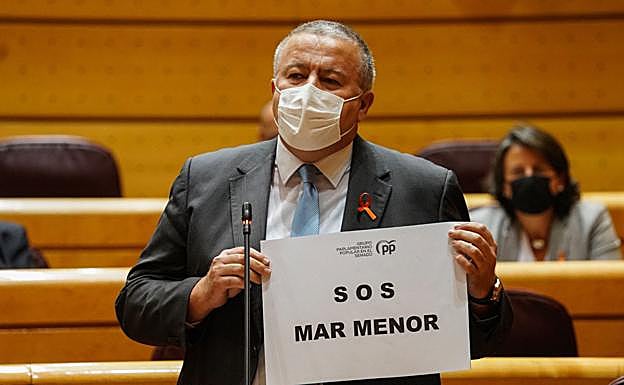 El senador Francisco Bernabé. 