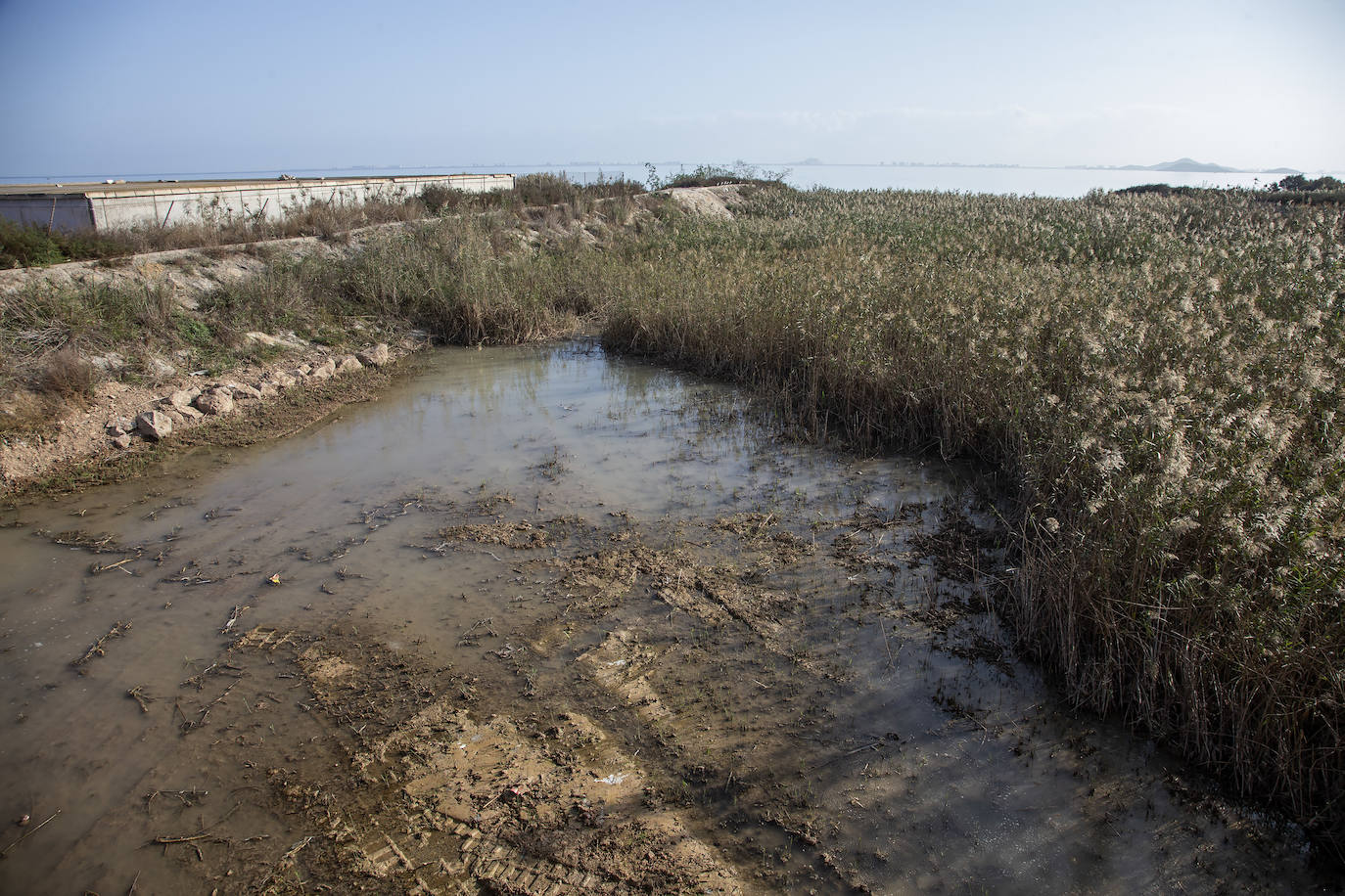 Fotos: El Albujón lleva 21 días vertiendo al Mar Menor debido a una rotura