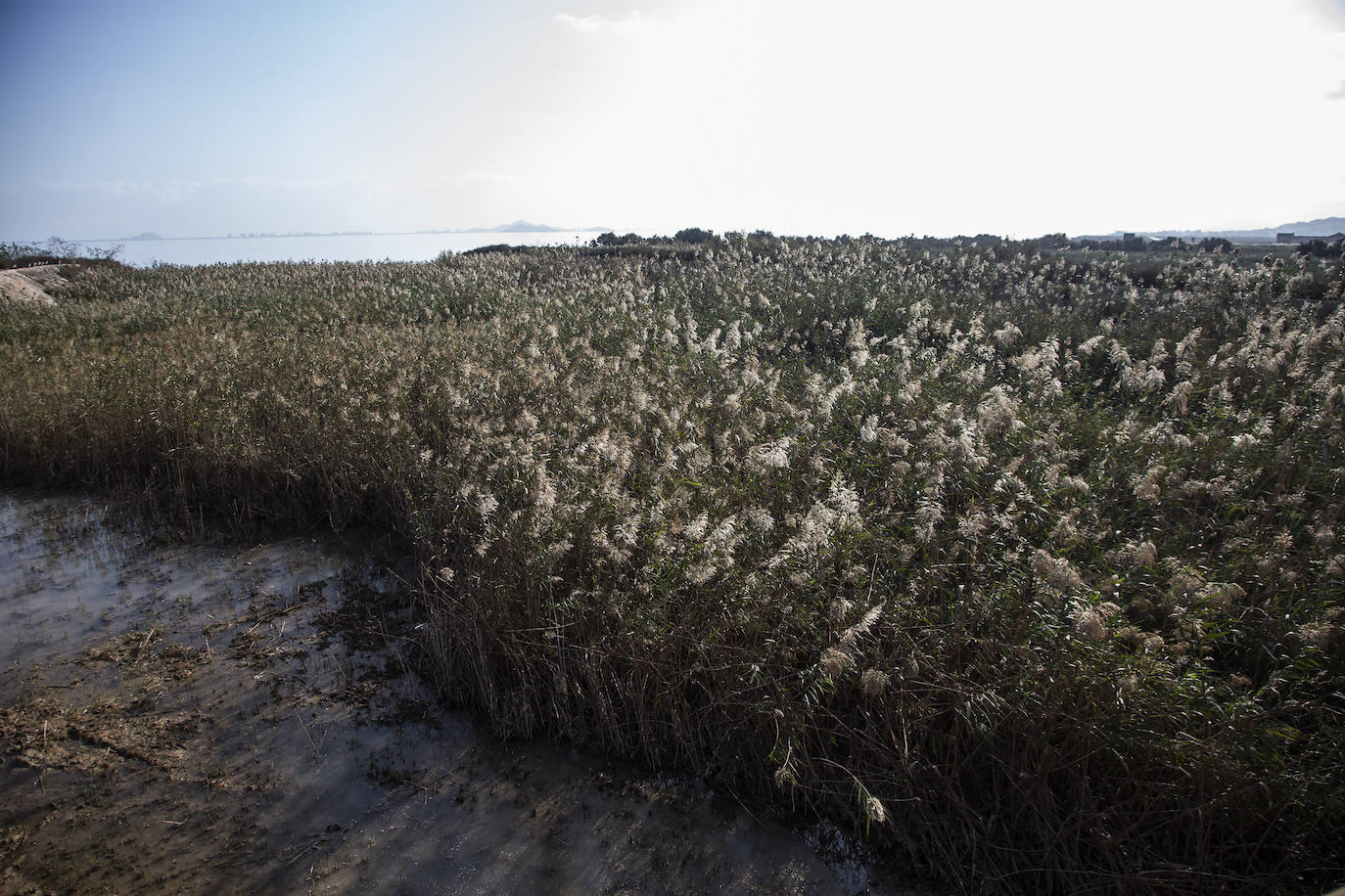 Fotos: El Albujón lleva 21 días vertiendo al Mar Menor debido a una rotura