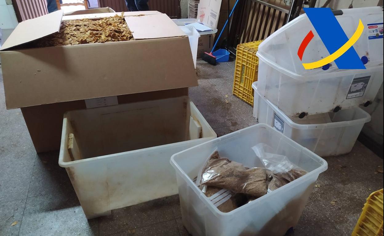 La picadura de tabaco de contrabando encontrada en una bajo de Javalí Nuevo.