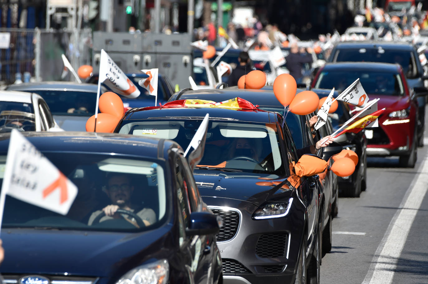 Fotos: La &#039;marea naranja&#039; recorre el centro de Murcia contra la &#039;ley Celaá&#039;