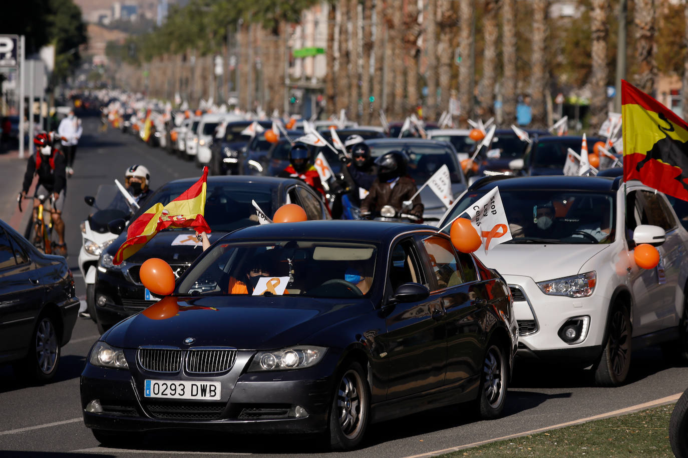 Fotos: La &#039;marea naranja&#039; recorre el centro de Murcia contra la &#039;ley Celaá&#039;