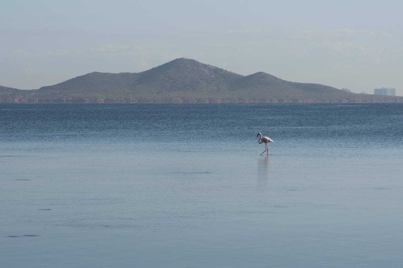 Fotos: Comienzan las obras para instalar un balneario en la playa de Los Urrutias