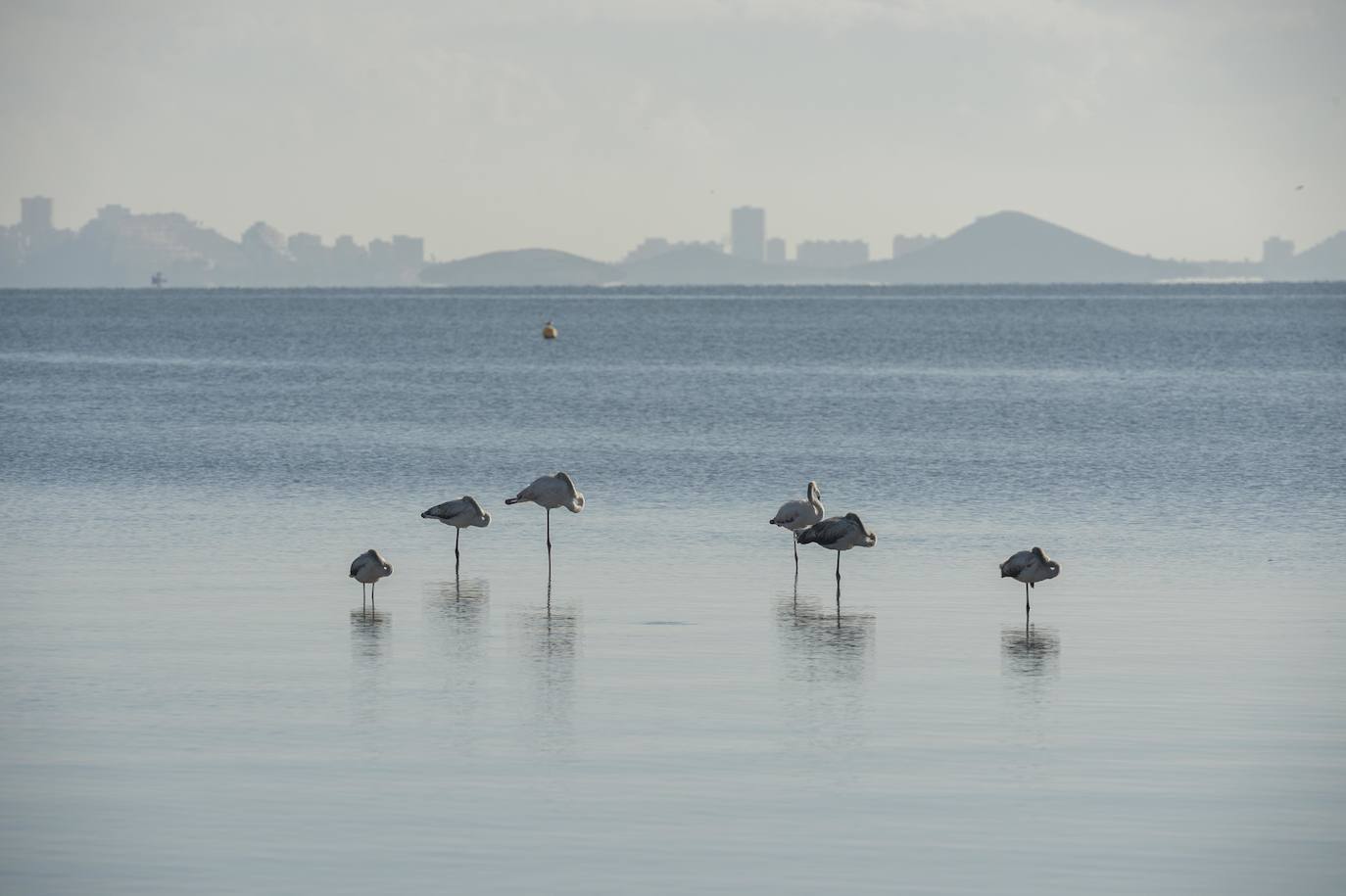 Fotos: Comienzan las obras para instalar un balneario en la playa de Los Urrutias