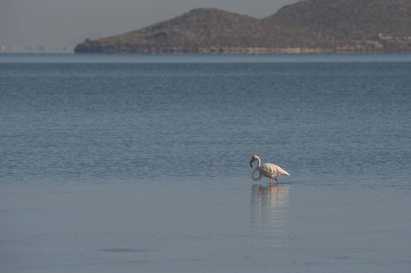 Fotos: Comienzan las obras para instalar un balneario en la playa de Los Urrutias