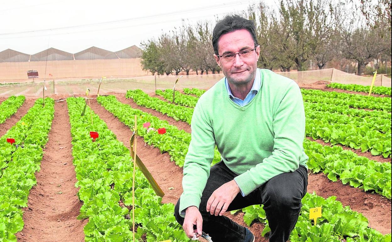 Alejandro Pérez Pastor, en la Finca Tomás Ferro de la UPCT, en La Palma. 