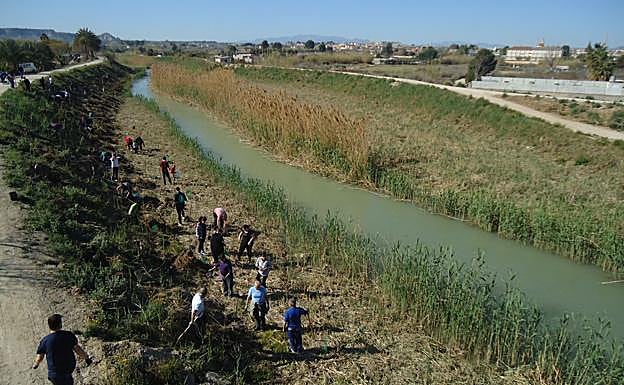Voluntarios en tareas de limpieza de la ribera del río. 