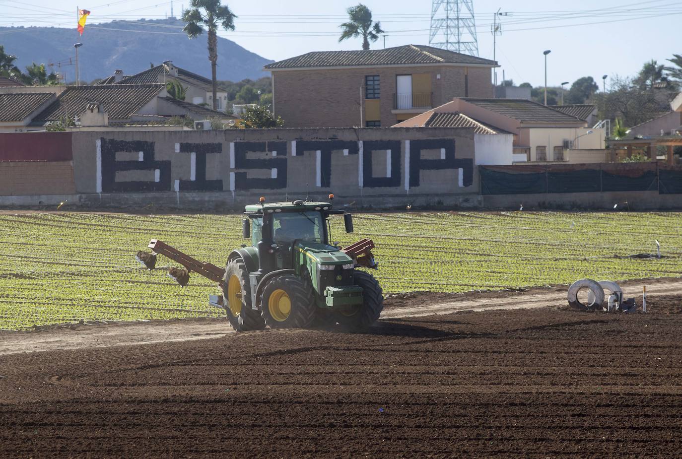 Fotos: Jornaleros del campo de Cartagena trabajan durante el día de la huelga