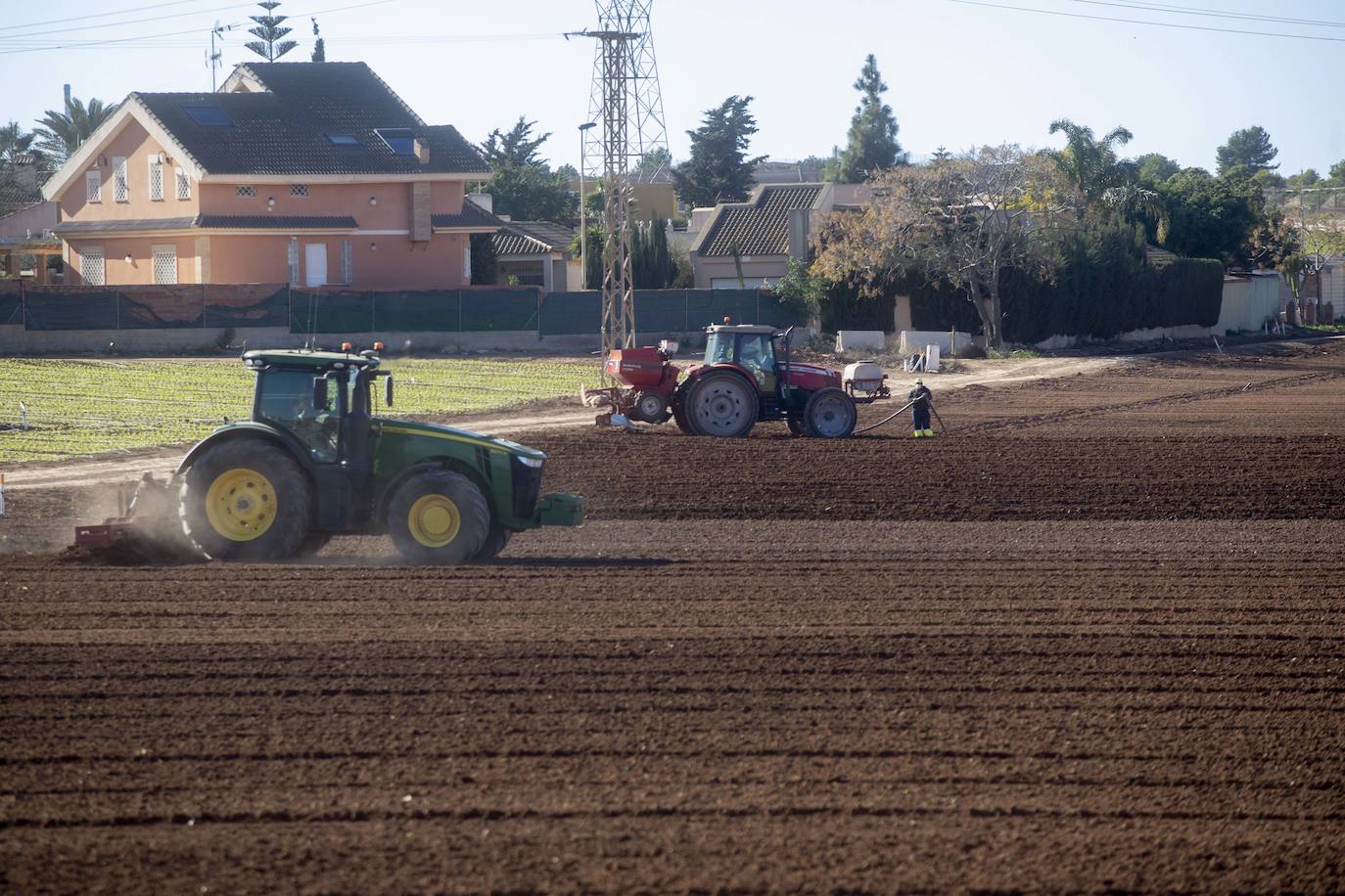 Fotos: Jornaleros del campo de Cartagena trabajan durante el día de la huelga