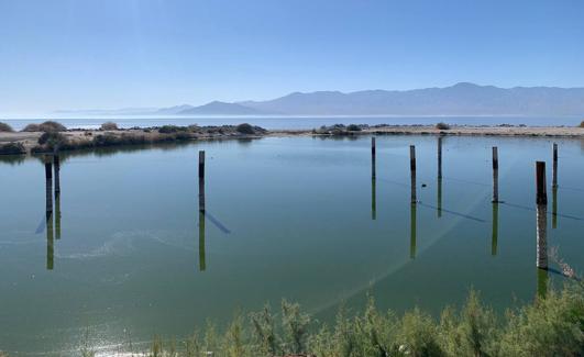 Laguna de Salton Sea (California, EE UU).