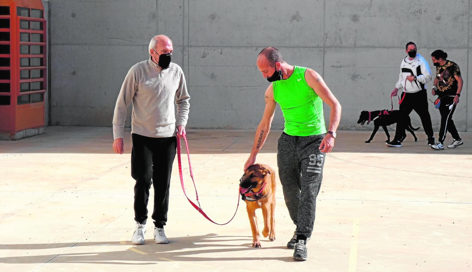 Dos hombres enseñan a un perro durante una de las sesiones del programa. 