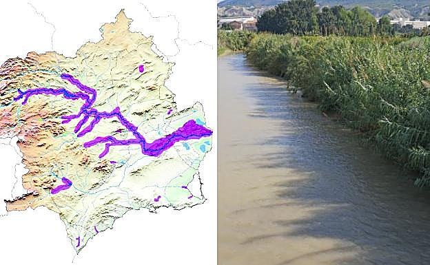 Caña. Por su rigidez, resistencia y ligereza, la 'Arundo donax' se empleaba en vallados, techados, muros, soportes de cultivos, y sombreado. Como ya no se emplea se ha extendido.