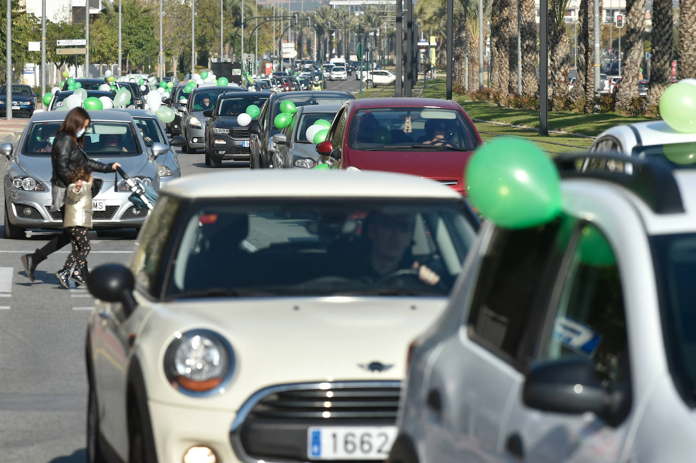 Fotos: Una manifestación con decenas de coches y bicis en Murcia exigen el refuerzo de los servicios públicos