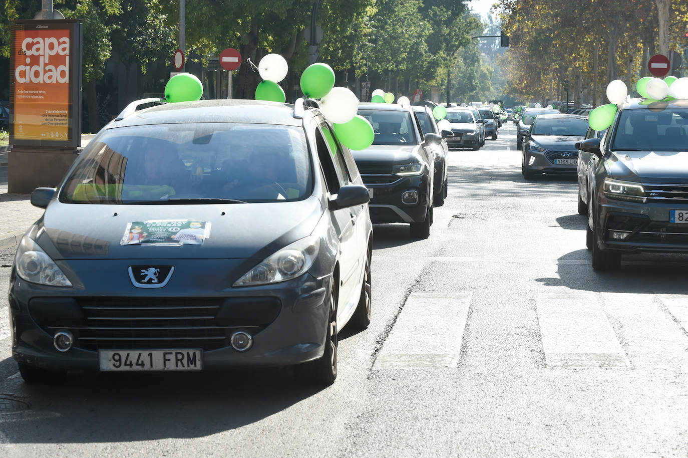 Fotos: Una manifestación con decenas de coches y bicis en Murcia exigen el refuerzo de los servicios públicos