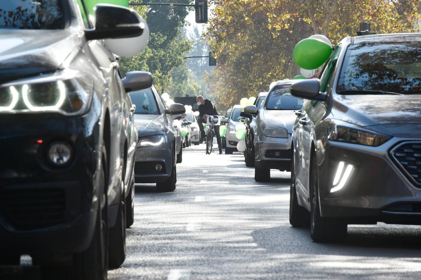 Fotos: Una manifestación con decenas de coches y bicis en Murcia exigen el refuerzo de los servicios públicos