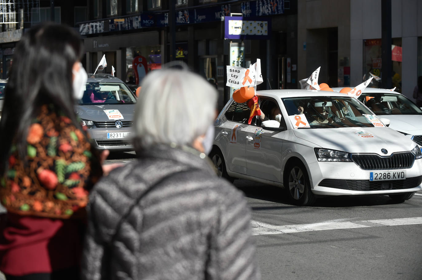 Fotos: Nueva protesta en Murcia contra la &#039;ley Celaá&#039;