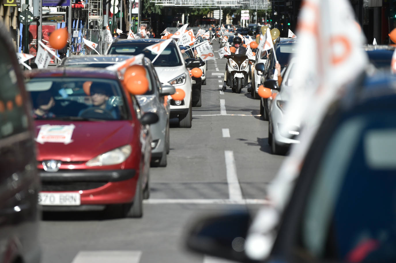 Fotos: Nueva protesta en Murcia contra la &#039;ley Celaá&#039;