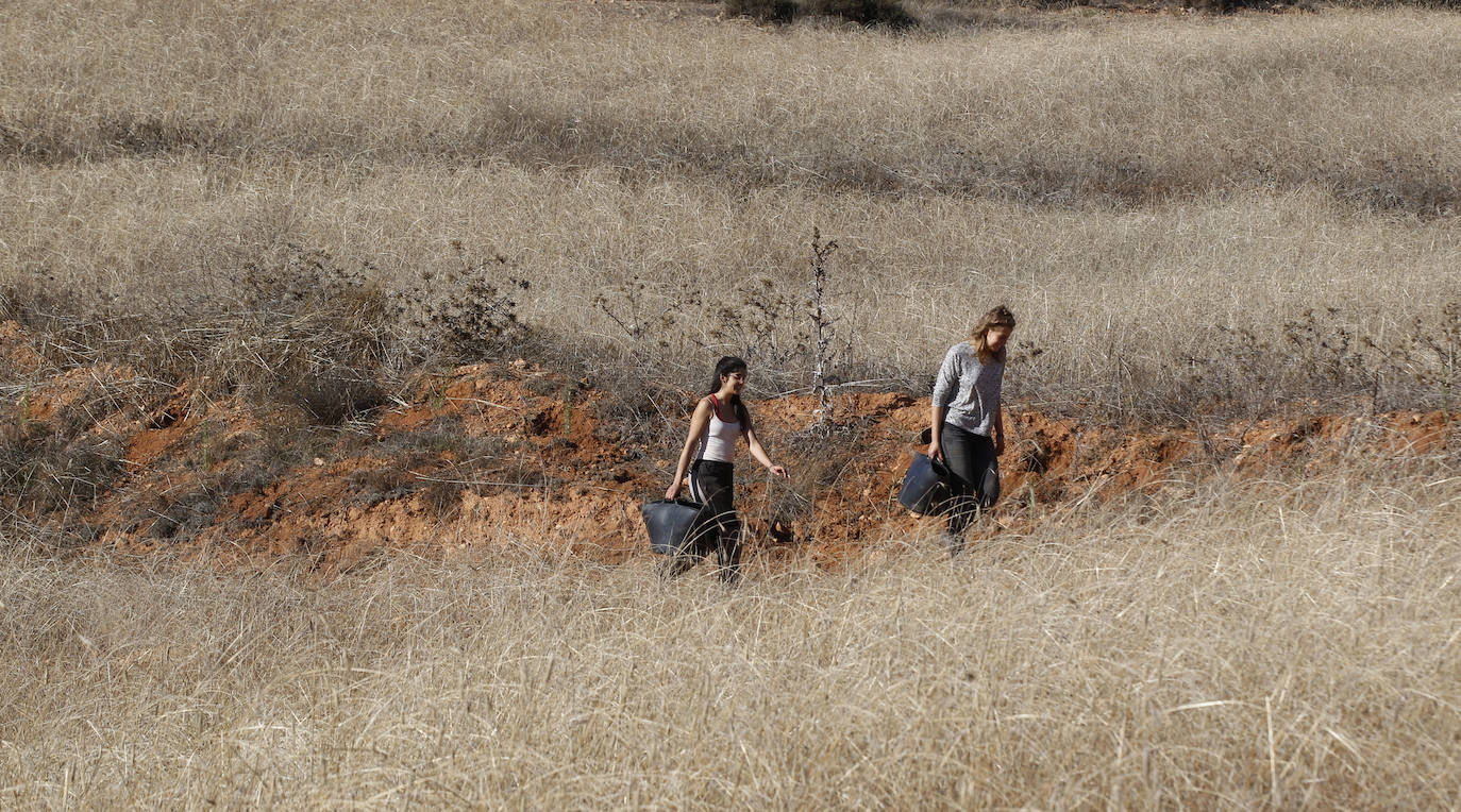 Fotos: Una nueva agricultura que cura la tierra