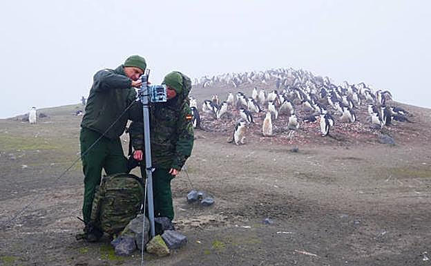 Miembros del Ejército, en la anterior Campaña Antártica, junto a un grupo de pingüinos. 