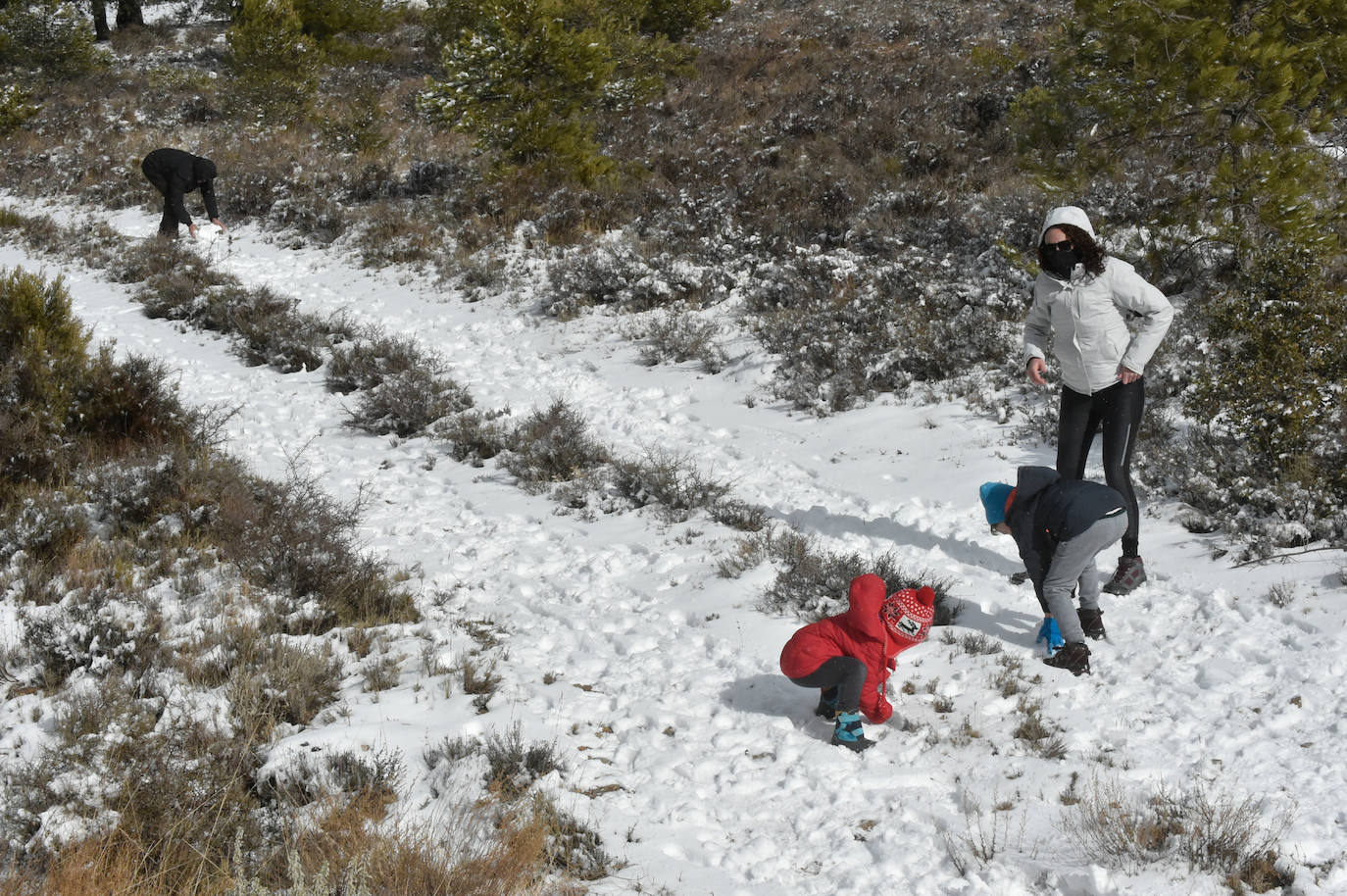 Fotos: El 2021 llega con nieve a Moratalla y Caravaca