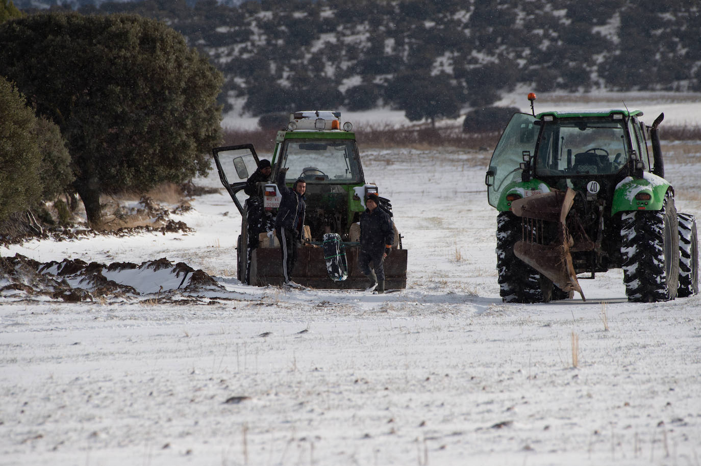 Fotos: El 2021 llega con nieve a Moratalla y Caravaca