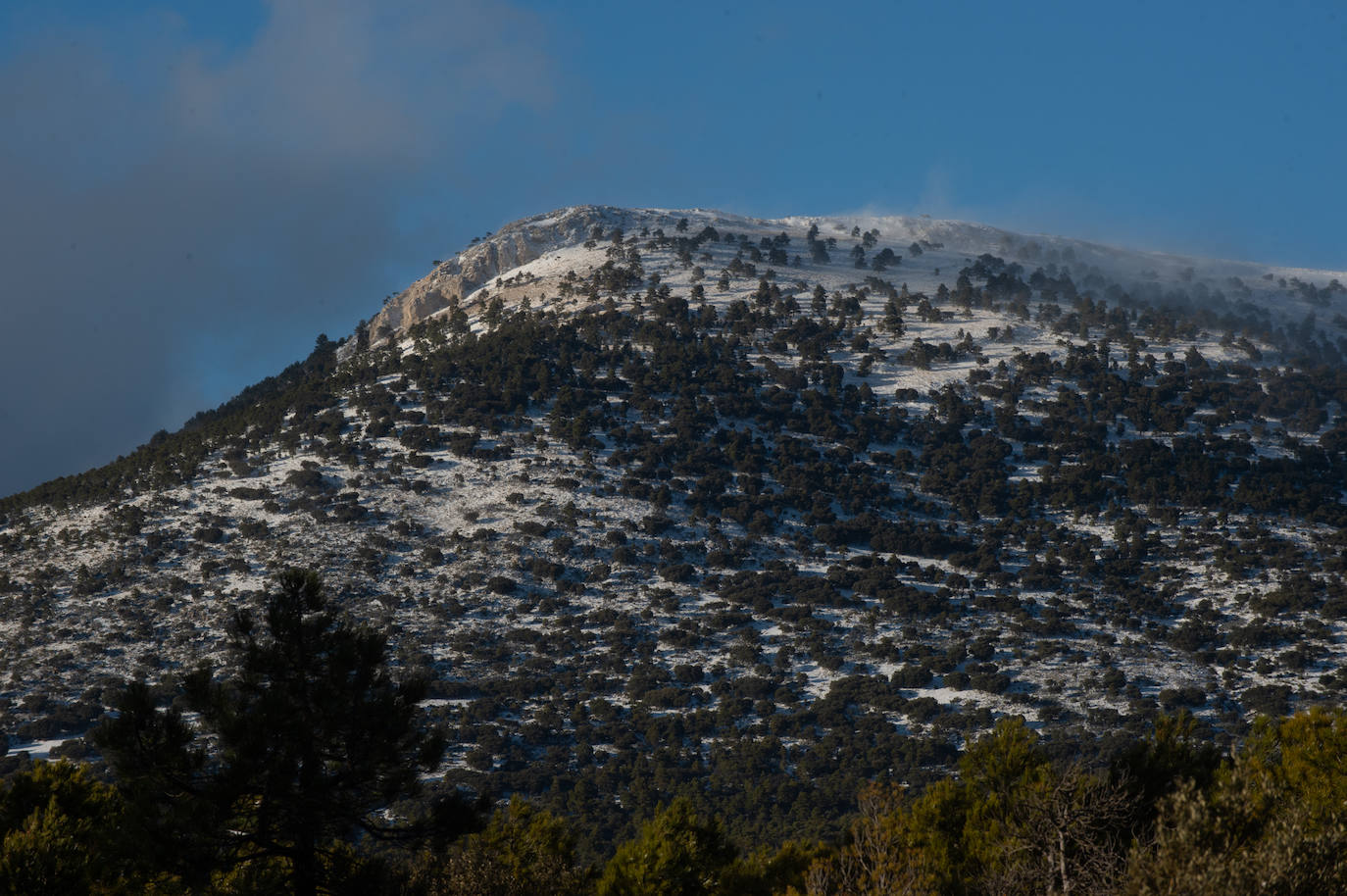 Fotos: El 2021 llega con nieve a Moratalla y Caravaca