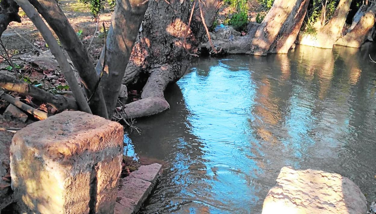 Detalle del paraje con las brencas para los tablachos (i). 