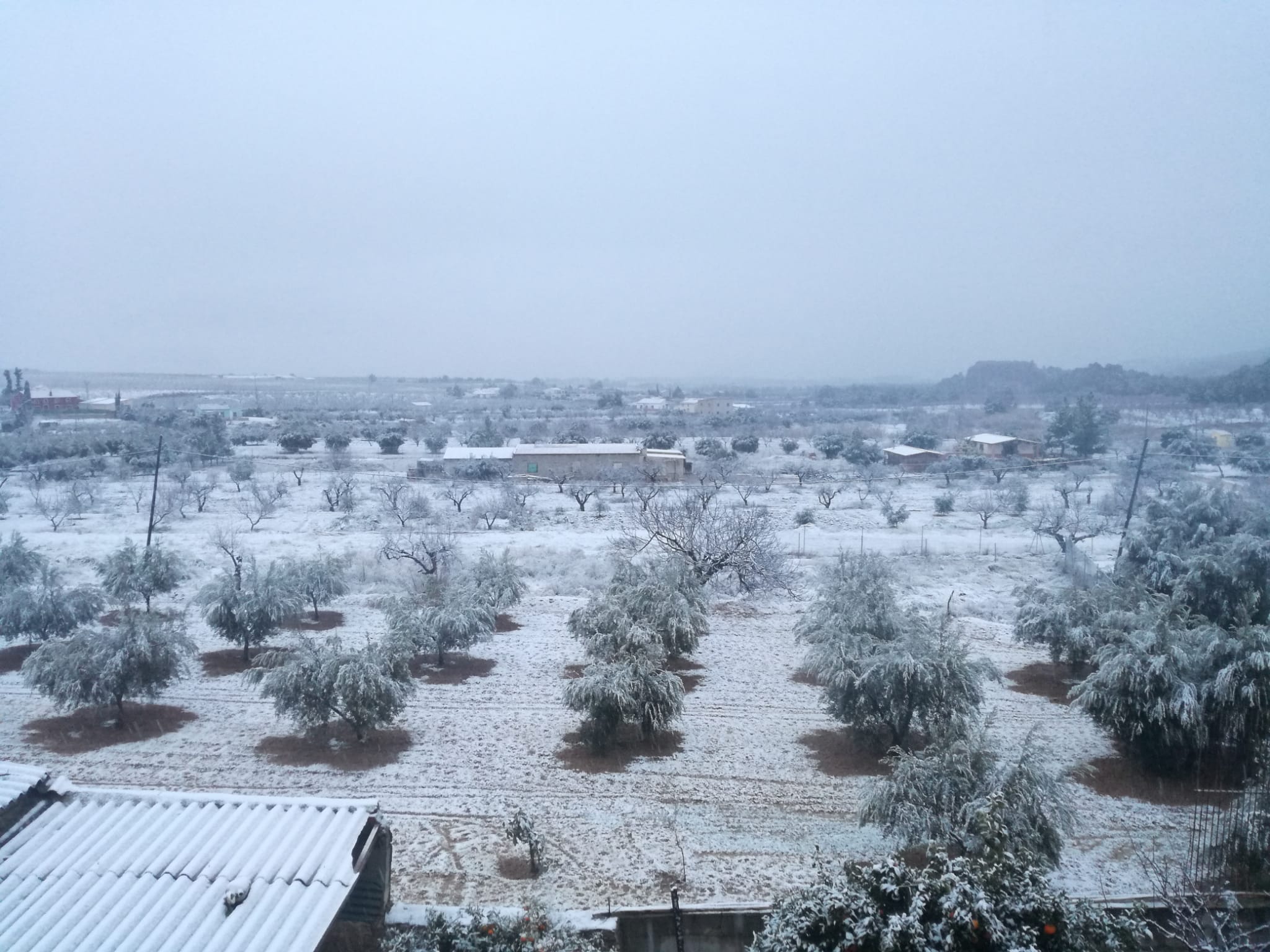 Nieve en Casas Nuevas, Mula.