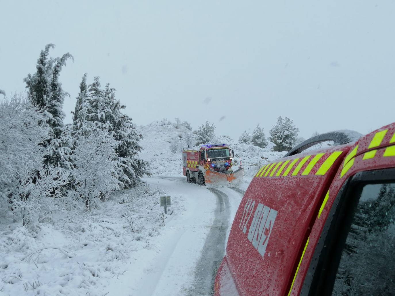 Bomberos limpian la carretera C-18 que va desde Los Royos a la carretera RM-730, en Caravaca de la Cruz.