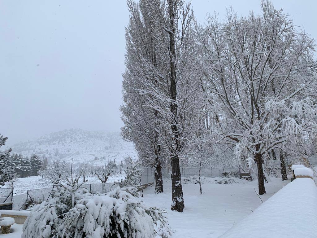 Nieve en Campo de San Juan, Moratalla