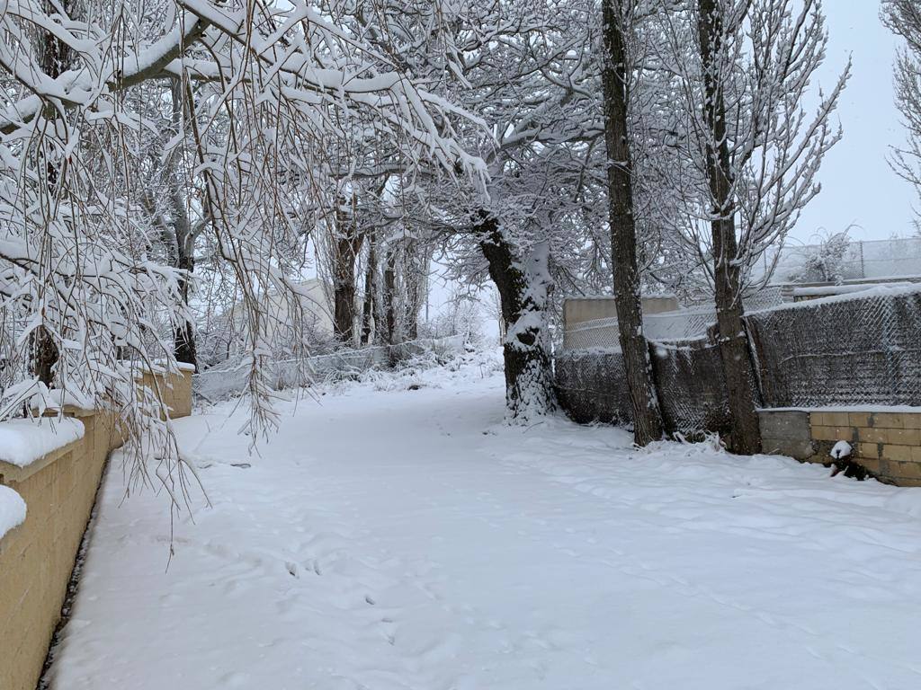 Nieve en Campo de San Juan, Moratalla