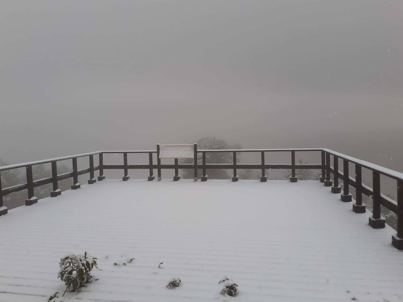Nieve en la Comarca del Río Mula, Pliego. 