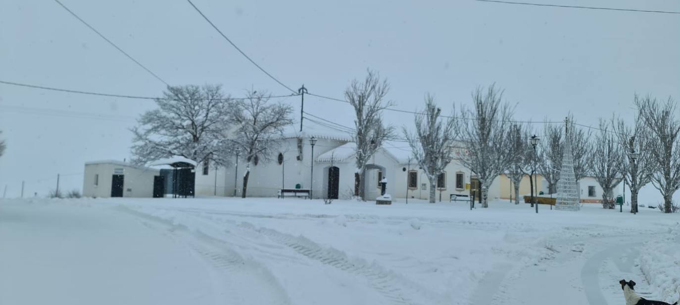 Nieve en El Moralejo (Caravaca), este viernes.